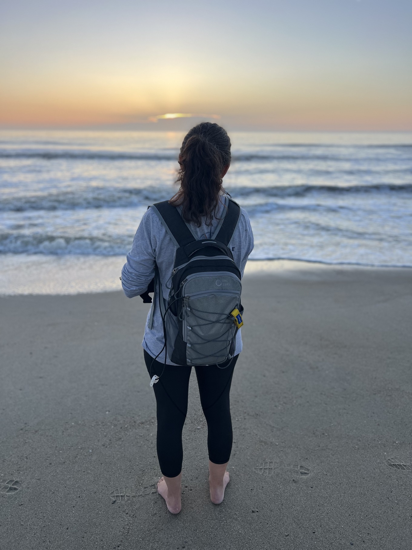 This image for Image Layouts addon